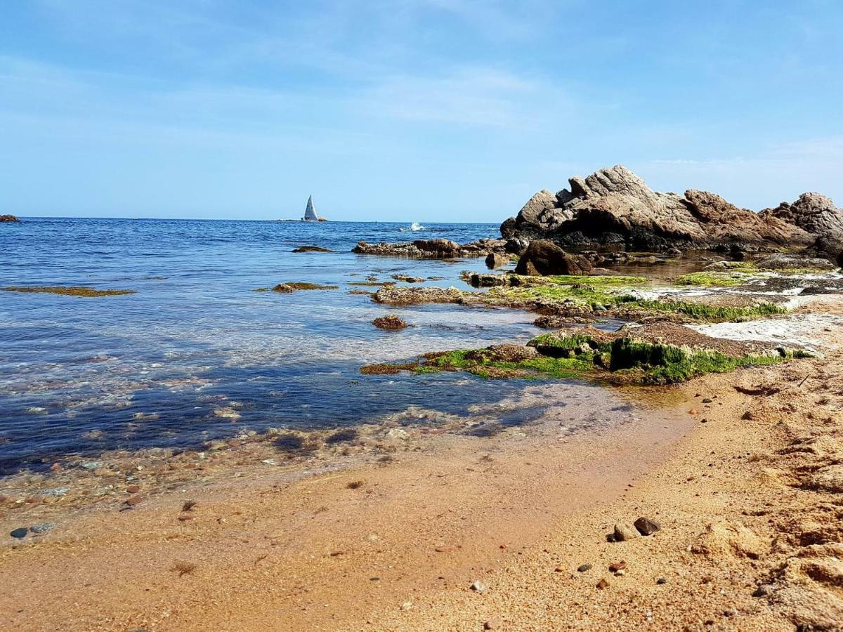 Palamos Apartament Superior Garoina Eksteriør billede